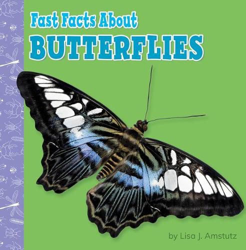 Cover image for Fast Facts about Butterflies