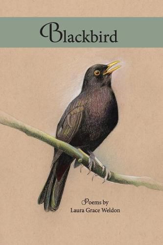 Cover image for Blackbird: poems