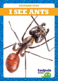 Cover image for I See Ants