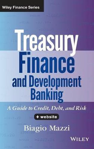 Cover image for Treasury Finance and Development Banking: A Guide to Credit, Debt, and Risk + Website