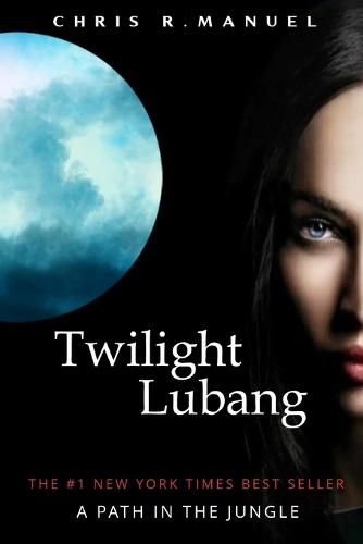 Cover image for Twilight Lubang