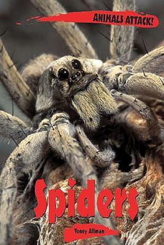 Cover image for Spiders