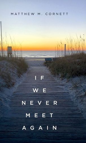 Cover image for If We Never Meet Again