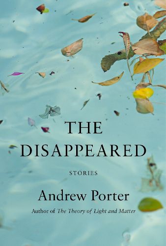 Cover image for The Disappeared: Stories