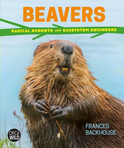 Beavers: Radical Rodents and Ecosystem Engineers