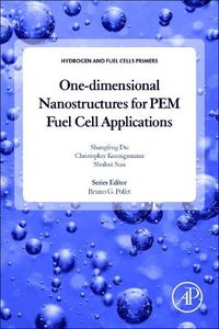 Cover image for One-dimensional Nanostructures for PEM Fuel Cell Applications