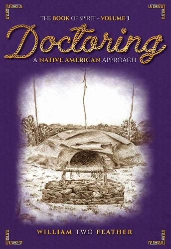 Cover image for Native American Doctoring