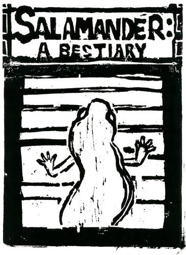 Cover image for Salamander: A Bestiary