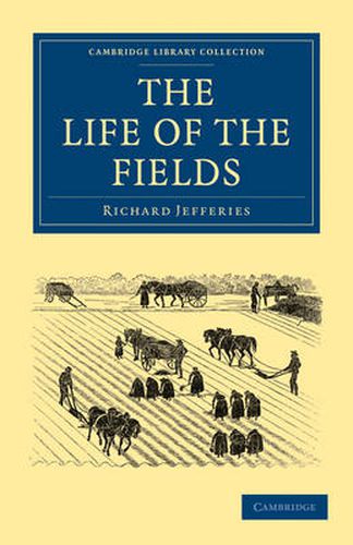 Cover image for The Life of the Fields