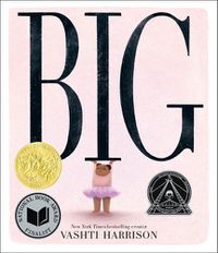 Cover image for Big