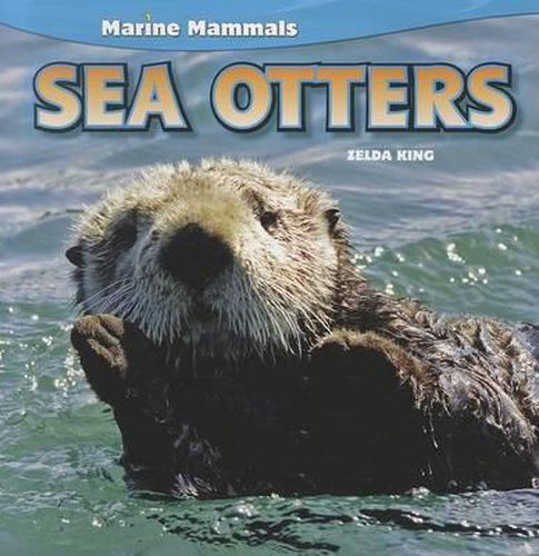 Cover image for Sea Otters