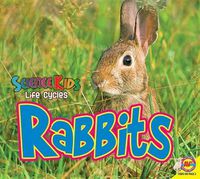 Cover image for Rabbits