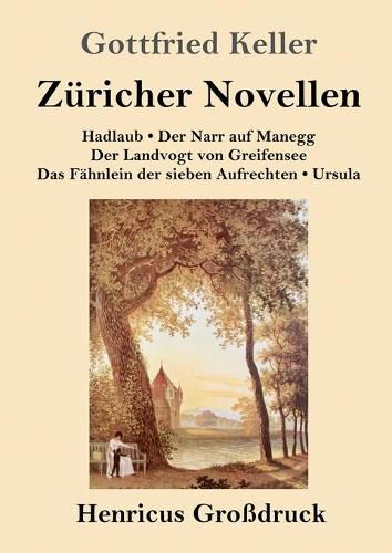 Cover image for Zuricher Novellen (Grossdruck)
