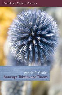 Cover image for Amongst Thistles and Thorns