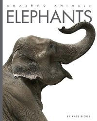 Cover image for Elephants