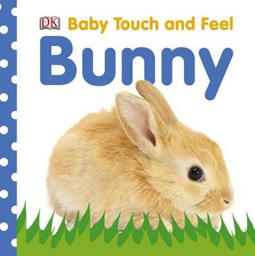 Cover image for Baby Touch and Feel: Bunny