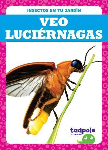 Veo Luciernagas