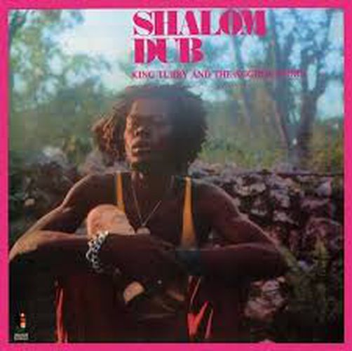 Cover image for Shalom Dub (Vinyl)
