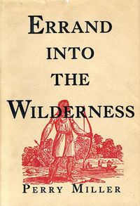 Cover image for Errand into the Wilderness