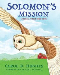 Cover image for Solomon's Mission