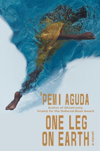 Cover image for One Leg on Earth