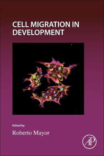 Cover image for Cell Migration in Development: Volume 164