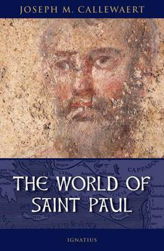 Cover image for The World of Saint Paul