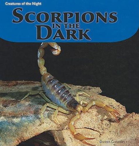 Cover image for Scorpions in the Dark