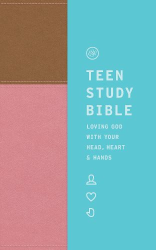 Cover image for ESV Teen Study Bible