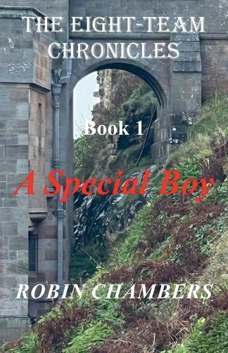 Cover image for A Special Boy
