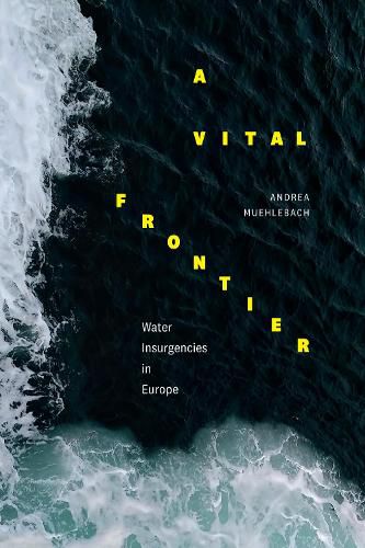 Cover image for A Vital Frontier: Water Insurgencies in Europe