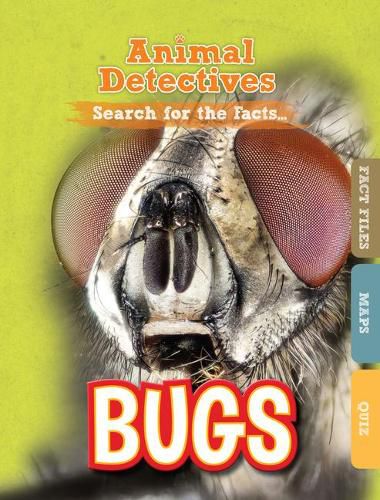 Cover image for Bugs