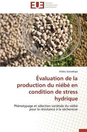 Cover image for valuation de la Production Du Ni b En Condition de Stress Hydrique