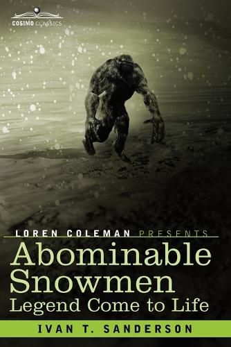 Cover image for Abominable Snowmen