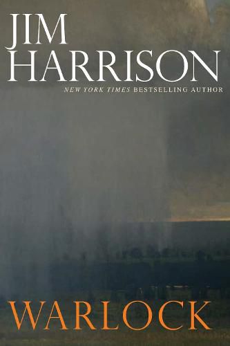 Cover image for Warlock