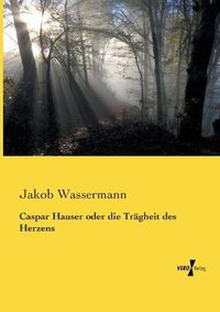 Cover image for Caspar Hauser oder die Tragheit des Herzens