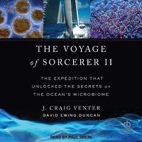 Cover image for The Voyage of Sorcerer II