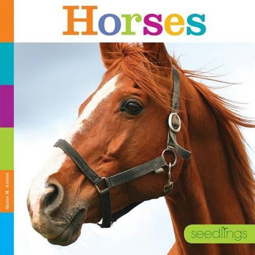 Cover image for Horses