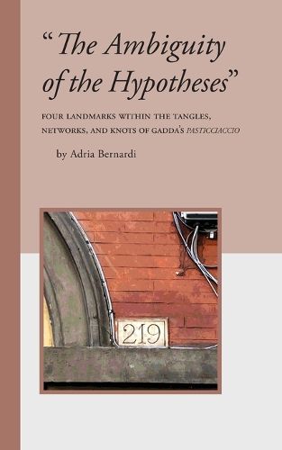 Cover image for "The Ambiguity of the Hypotheses"