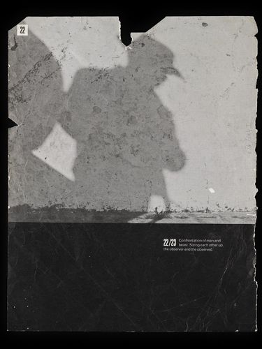 Cover image for Francis Bacon's Library