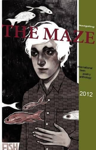 Cover image for Navigating the Maze