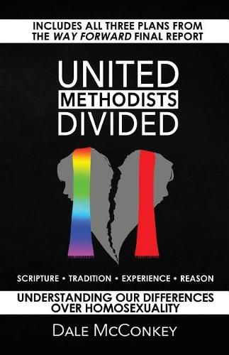 Cover image for United Methodists Divided: Understanding Our Differences Over Homosexuality