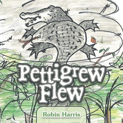 Cover image for Pettigrew Flew