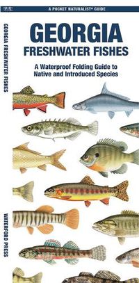 Cover image for Georgia Freshwater Fishes