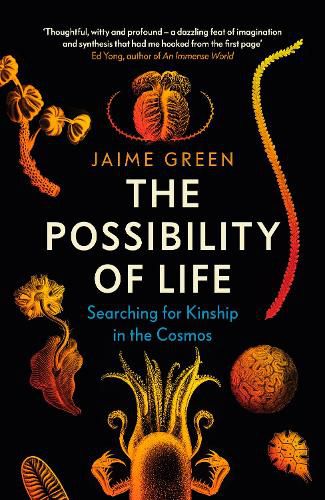 Cover image for The Possibility of Life