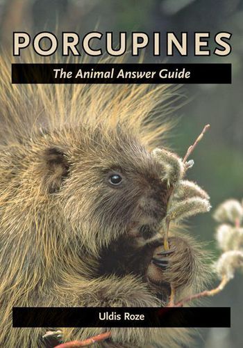 Cover image for Porcupines: The Animal Answer Guide