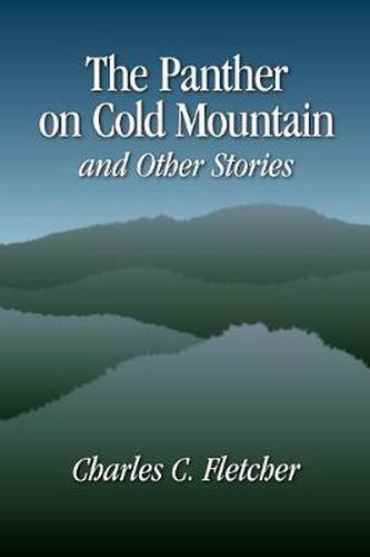 Cover image for The Panther on Cold Mountain and Other Stories