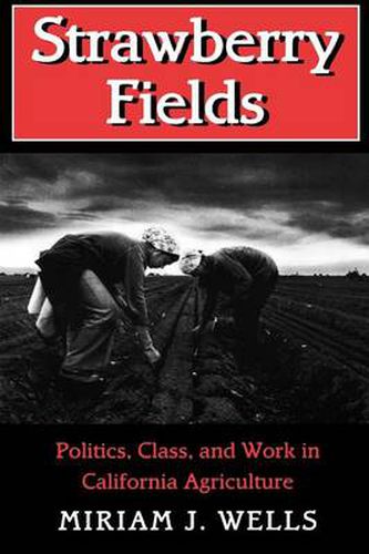 Cover image for Strawberry Fields: Politics, Class and Work in California Agriculture