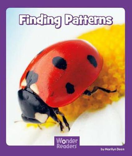 Cover image for Finding Patterns