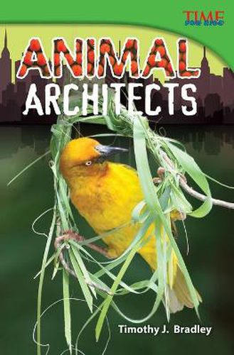 Cover image for Animal Architects